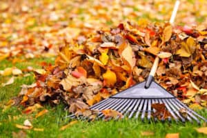 "Leaf" Your Pain Behind: 11 Tips to Help Take the Pain Out of Raking Your Yard